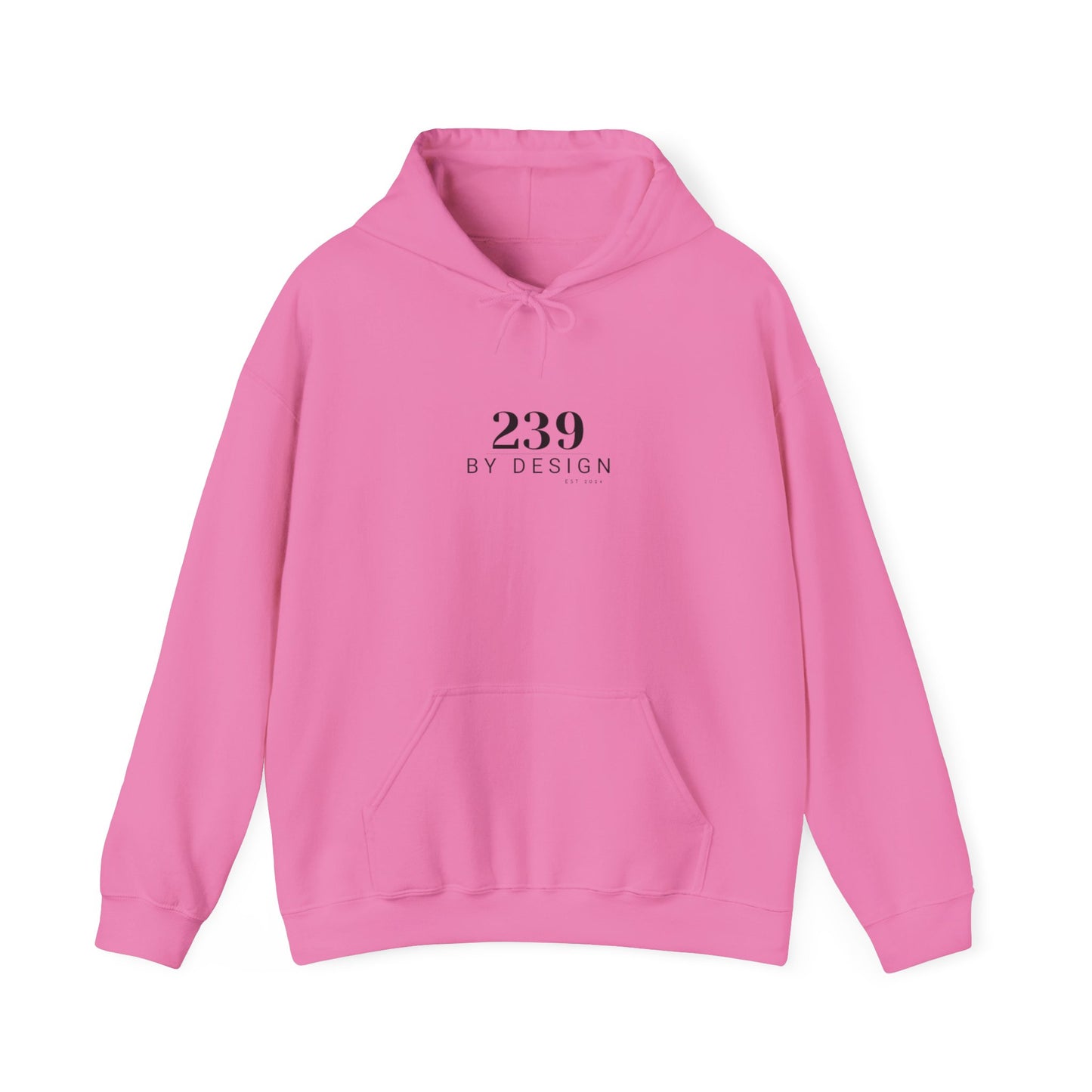 Naples Pier Hoodie